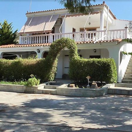 Το Κτήμα Της Ελιάς Του Τάκη Guest House Paralia Demonias Екстериор снимка