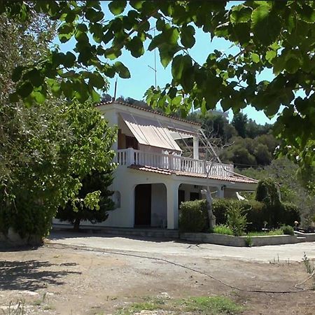 Το Κτήμα Της Ελιάς Του Τάκη Guest House Paralia Demonias Екстериор снимка