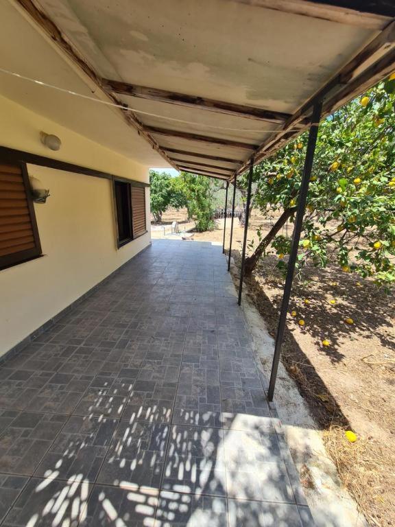 Το Κτήμα Της Ελιάς Του Τάκη Guest House Paralia Demonias Екстериор снимка