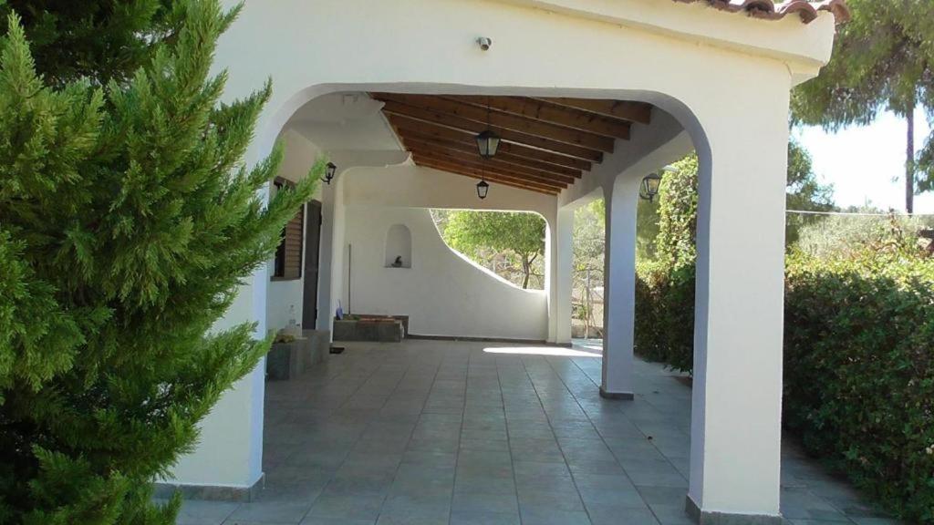Το Κτήμα Της Ελιάς Του Τάκη Guest House Paralia Demonias Екстериор снимка