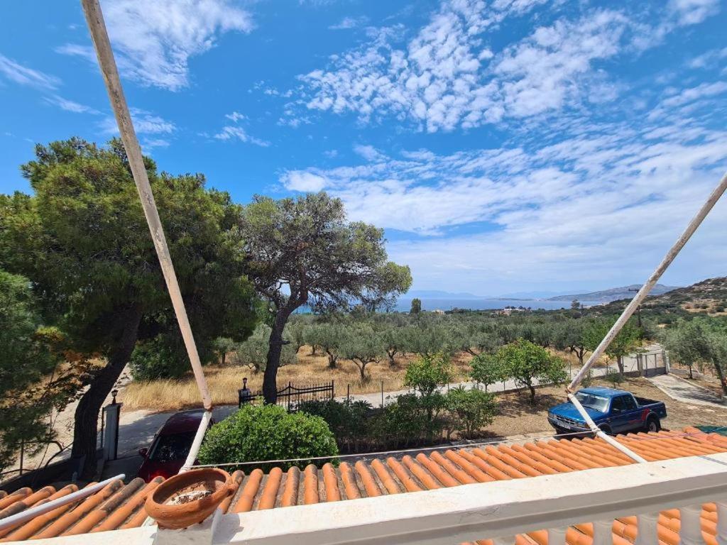 Το Κτήμα Της Ελιάς Του Τάκη Guest House Paralia Demonias Екстериор снимка