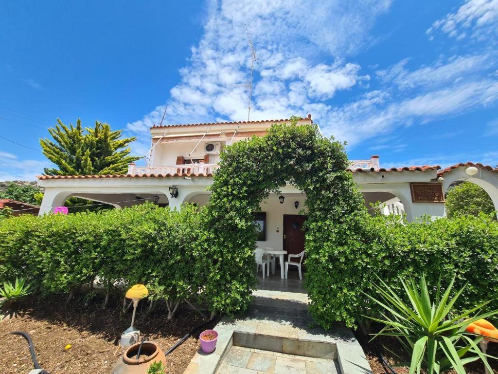 Το Κτήμα Της Ελιάς Του Τάκη Guest House Paralia Demonias Екстериор снимка