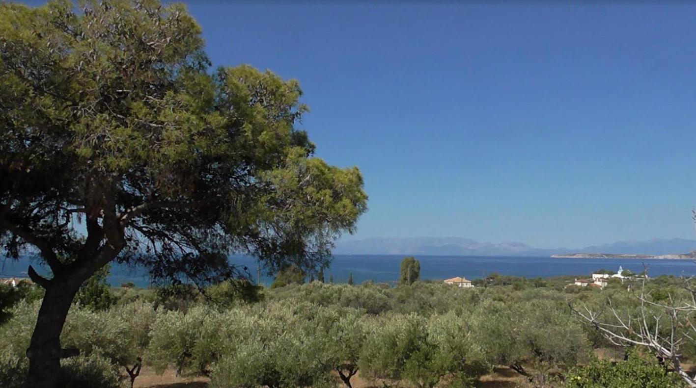 Το Κτήμα Της Ελιάς Του Τάκη Guest House Paralia Demonias Екстериор снимка