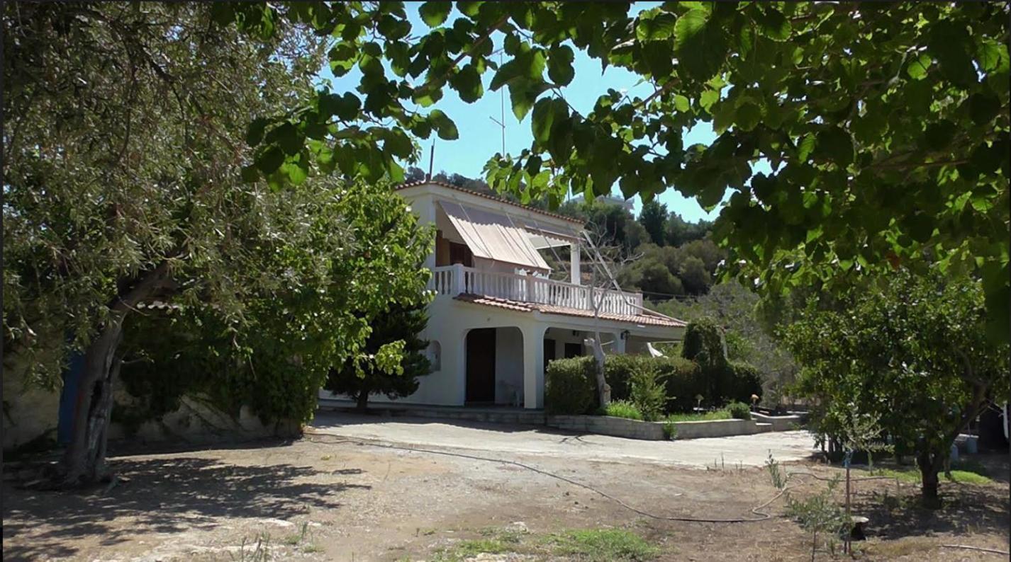 Το Κτήμα Της Ελιάς Του Τάκη Guest House Paralia Demonias Екстериор снимка