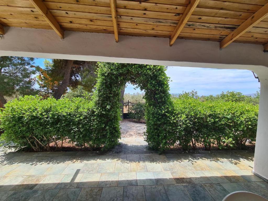 Το Κτήμα Της Ελιάς Του Τάκη Guest House Paralia Demonias Екстериор снимка